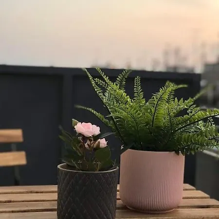 Lovely Studio Rooftop Nest Down Town Apartman *